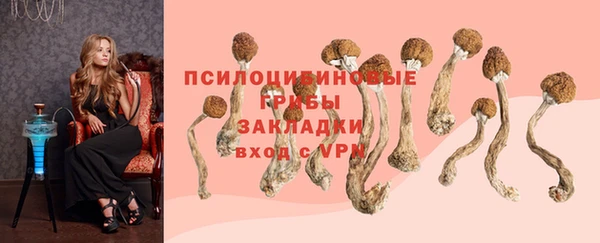 твердый Бородино