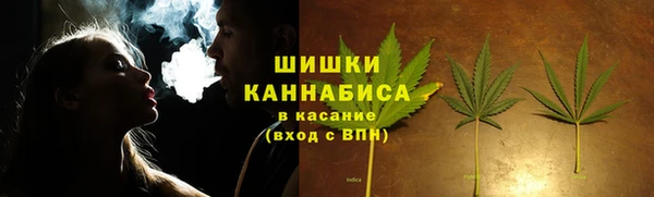 твердый Бородино