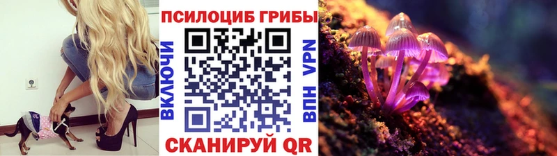 ссылка на мегу сайт  где найти   Верхний Тагил  Псилоцибиновые грибы Psilocybine cubensis 